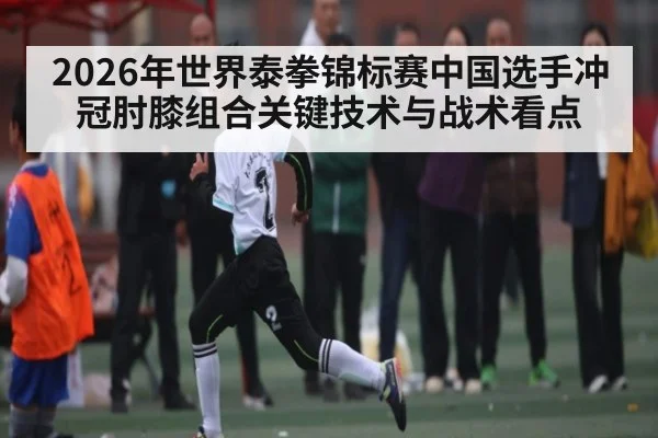 2026年世界泰拳锦标赛中国选手冲冠肘膝组合关键技术与战术看点